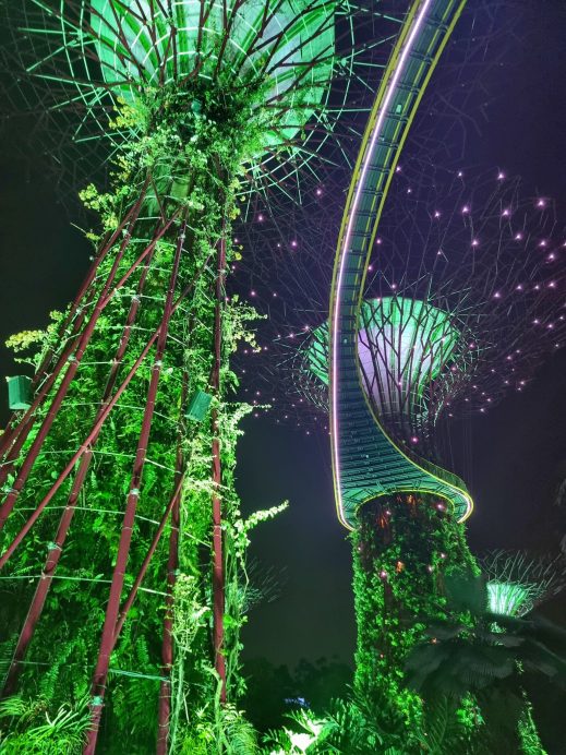 Rhapsody in the Garden light show melting pot diversity in Singapore